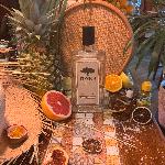 Tonka Dry Gin