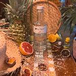 The Botanist Islay Dry Gin