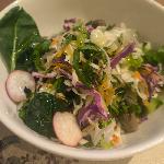 ΑΝΆΜΕΙΚΤΗ ΜΕ ΦΡΕΣΚΑ ΛΑΧΑΝΙΚΑ ΕΠΟΧΗΣ