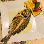 ΤΣΙΠΟΎΡΑ ΙΧΘΥΟΤΡΟΦΕΙΟΥ