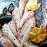 ΚΟΤΣΟΜΟΥΡΕΣ